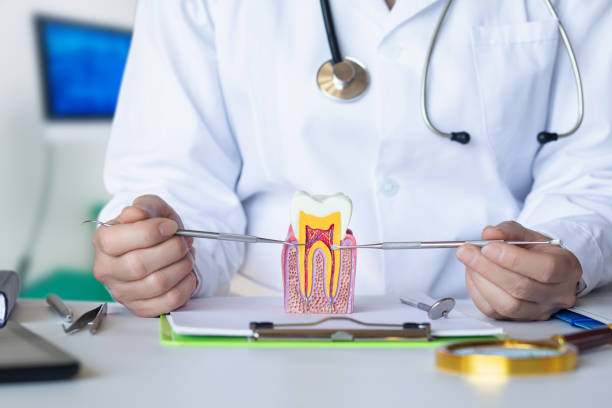 Best Emergency Dental Extractions in Pinehurst, ID